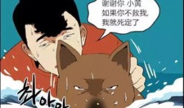 黄小漫画,描绘青春成长的温馨画卷