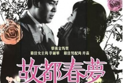 春梦电影,浪漫邂逅，青春记忆的银幕演绎