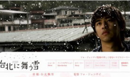飘雪电影在线观看,浪漫飘雪，情感共鸣