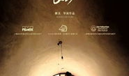 电影美姐,跨越时代的传奇女性，演绎不凡人生