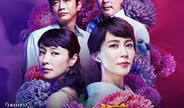 美容院电影,揭开美丽背后的秘密