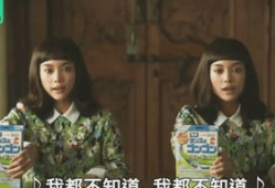 双胞胎电影,命运交织的孪生之谜