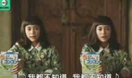 双胞胎电影,命运交织的孪生之谜